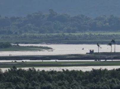 dozens of rohingya including children killed fleeing myanmar